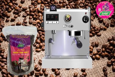 Máy pha cà phê Milesto EM19